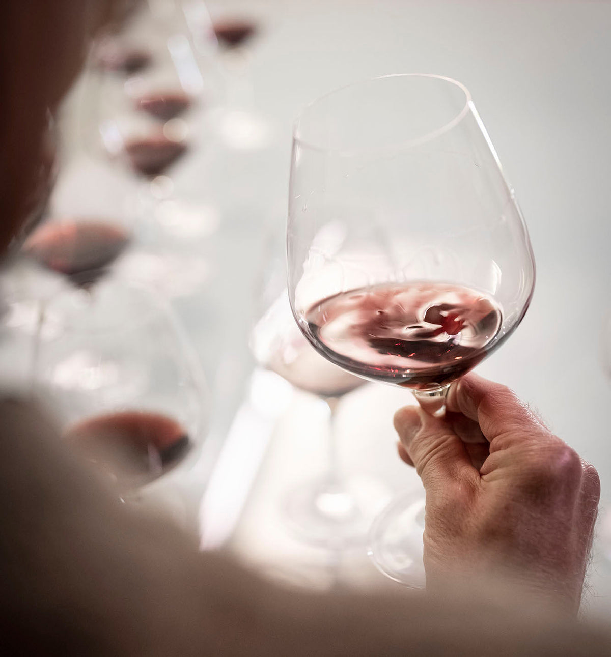 Wein erleben