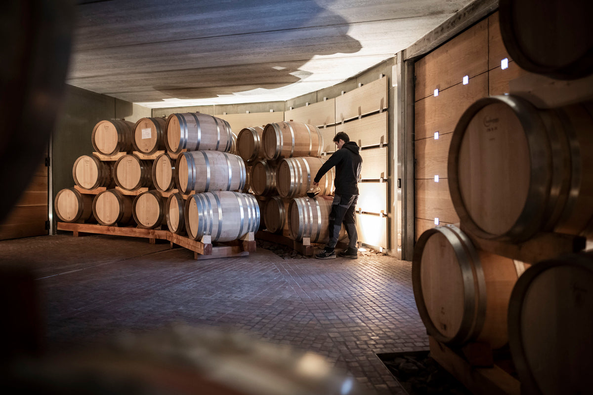Weingut Stroblhof - Weinkeller